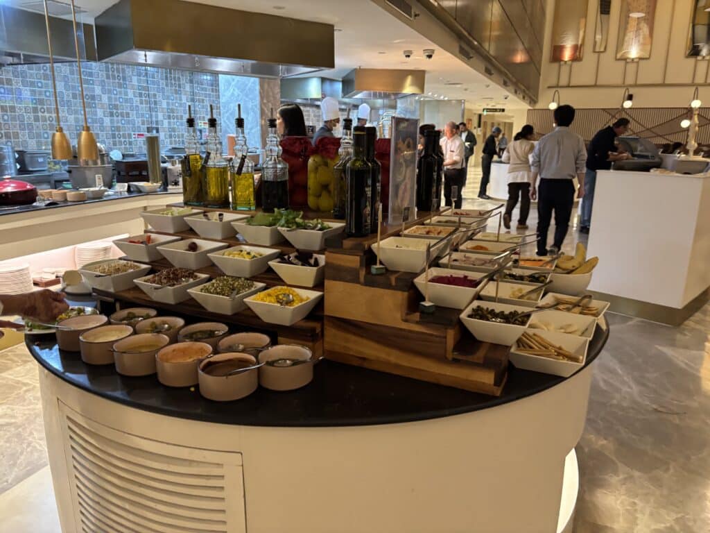 Air India Business Class 787 Lounge | Encalm Prive