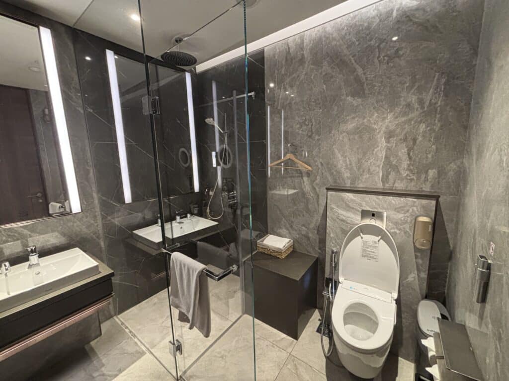 Singapore Airlines Business Class 787 Review | SilverKris Lounge T3