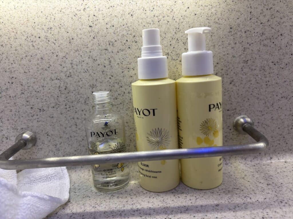 Singapore Airlines Business Class 787 | Service