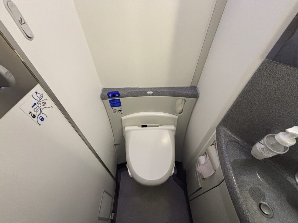 ANA 787 Business Class Review | Lavatory